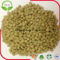 Dry Green Lentils with Good Quality